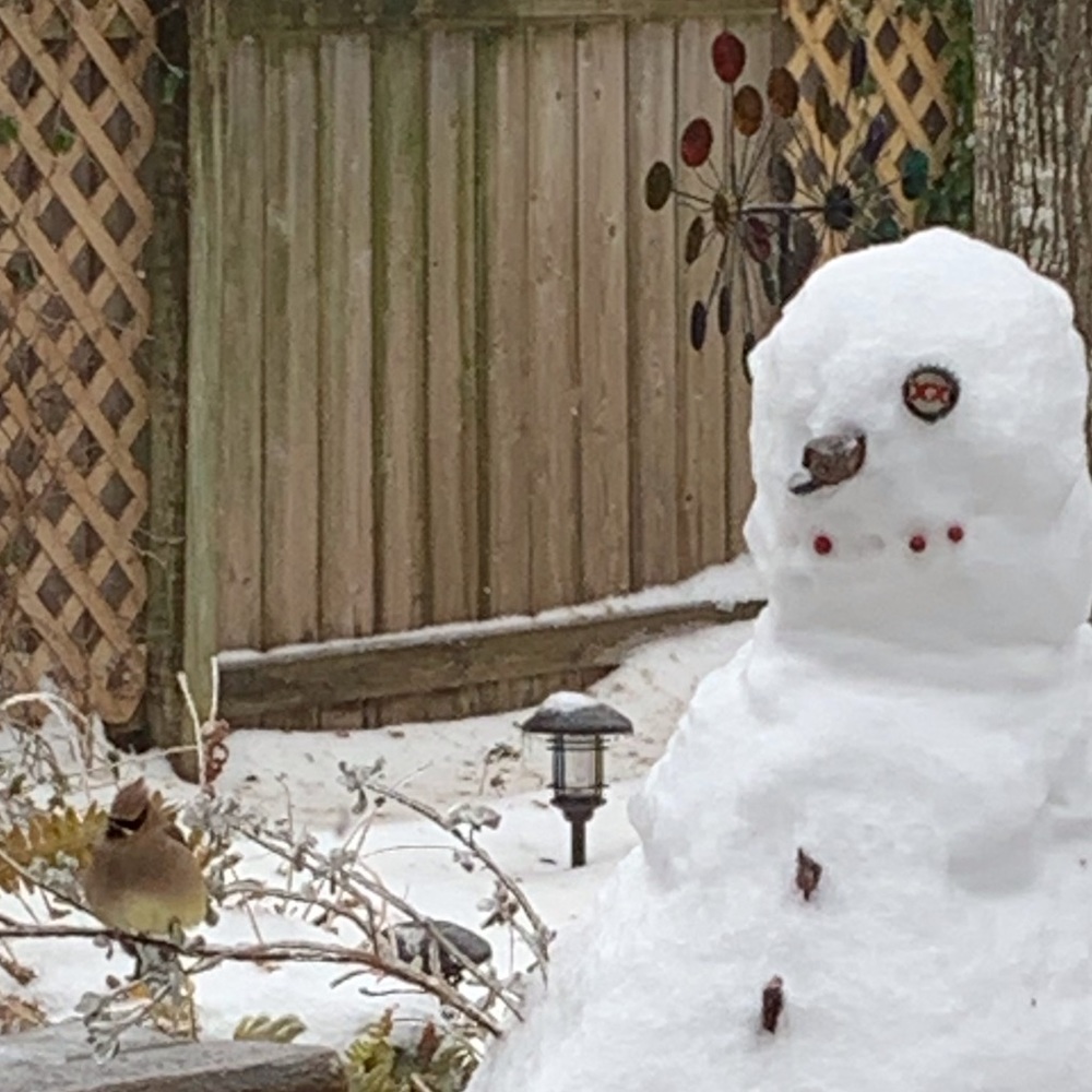 Meet your Posher, Mark